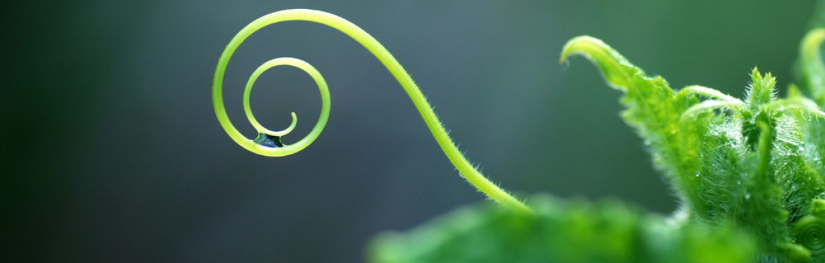 stuffyoureyeswithwonder.com